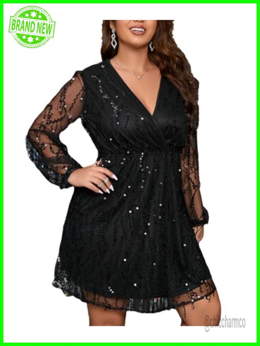 Sequin Fringe V-Neck Mesh Long Sleeve Dress